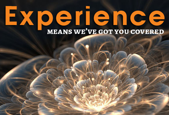 experience at sumner mckenzie inc computer consulting and websites